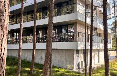 Apartament Sosnowy AKTENA Shellter Rogowo - Foto 2