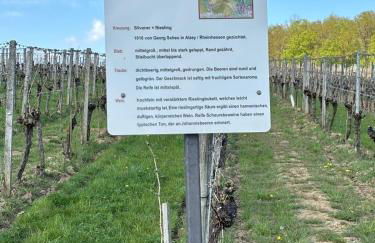 Gemütliche Ferienwohnung - Studio - an der Obernbreiter Kanzel - 50 m bis zu den Weinbergen - Foto 13