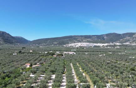 Olive&Sea Villa-OLIVE - Foto 40