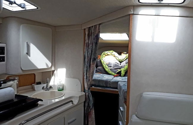 Boat Vedette Arlequin - Foto 12