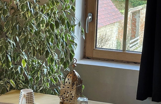 Alex Factory - Foto 12