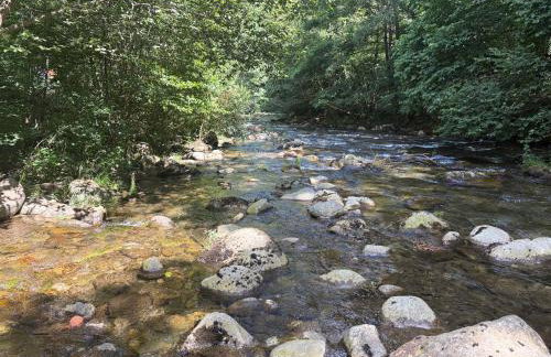 Ariège, appartement avec jardin en bord de rivière - Foto 13