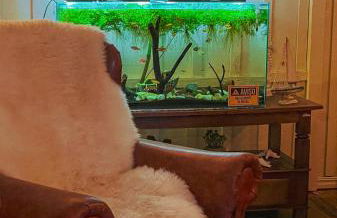 Sítio com piscina, churrasqueira, lareira, fogão à lenha, mesa de sinuca e vista para as montanhas - Foto 8