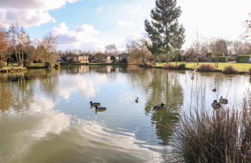 Stones Throw - Foto 33