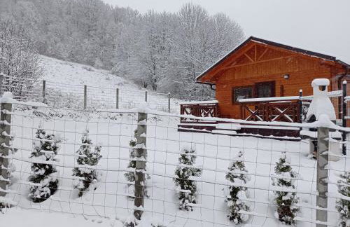 Pod Niedźwiedzicą - Foto 2