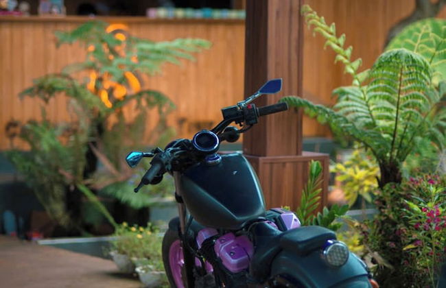 Homestay A Suy Ta Dung - Photo 25