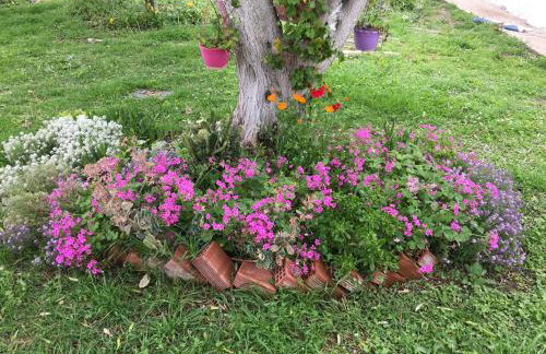 Venus Sea View Apartment - Foto 24