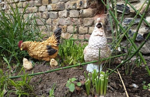 Couleurs et Fantaisies - Foto 24