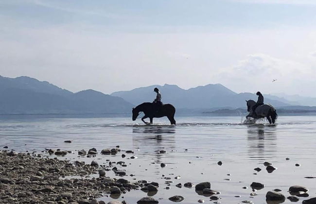 Cozy Holiday Home in Feldwies near Ski Area - Photo 31