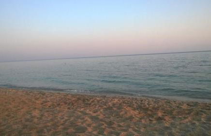 Walnuthouse - Foto 10