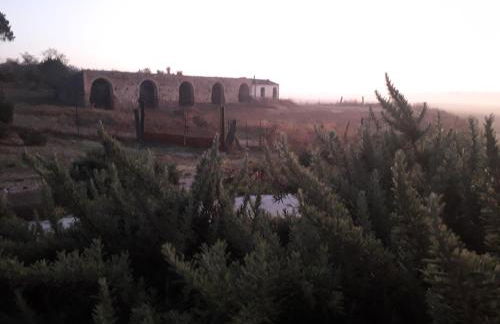 Masseria Agriturismo Moschella - Foto 10