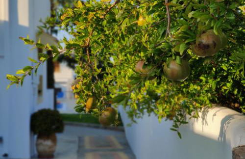 Angelika Apartotel - Foto 24