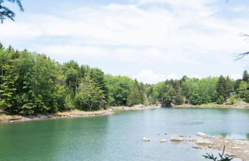 Secluded Cabin With Ocean Access - Foto 18