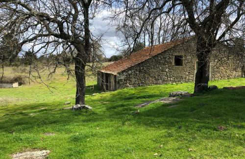 Quinta da Mouracha - Foto 29