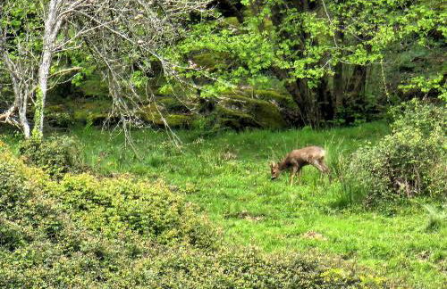 ARBELA Apartamentuak - Foto 25