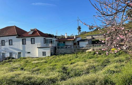 Casa da Celeste - Foto 53