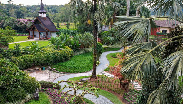 One of the routes in Parque dos Hemerocallis park