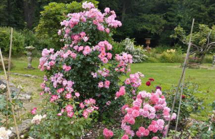 Sophienquelle Schweizermühle - Foto 18