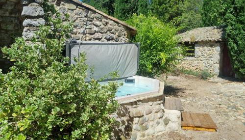 Grand Mas Provençal avec jacuzzi - Foto 4