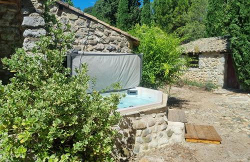 Grand Mas Provençal avec jacuzzi - Foto 4