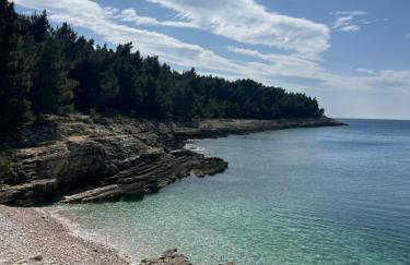 Apartmaji Valentina - Foto 51