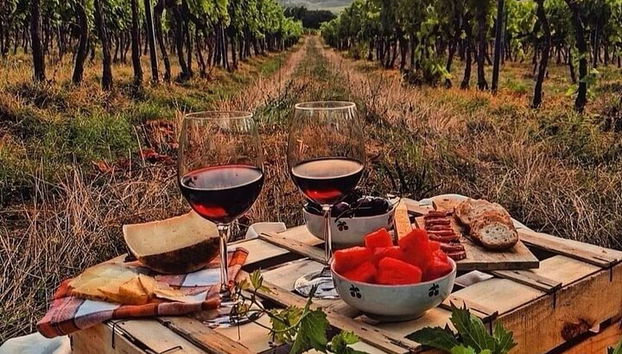 From Bologna: Chianti wine Experience with lunch - Photo 5