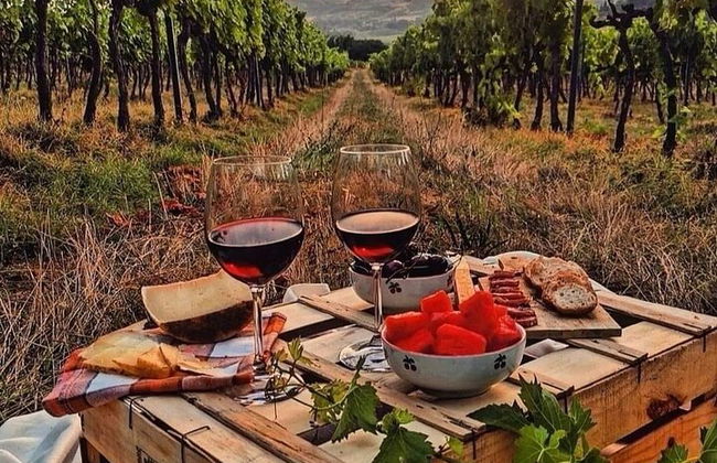 From Bologna: Chianti wine Experience with lunch - Photo 5