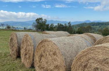 Vista - Domek Wakacyjny w Górach Sowich - Foto 40