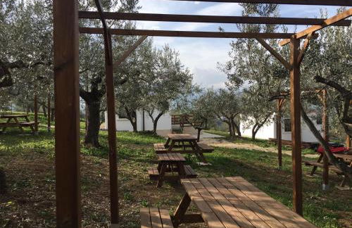 oasi macerina - Foto 15