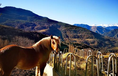 Apartamentsaloriaburg - Foto 14