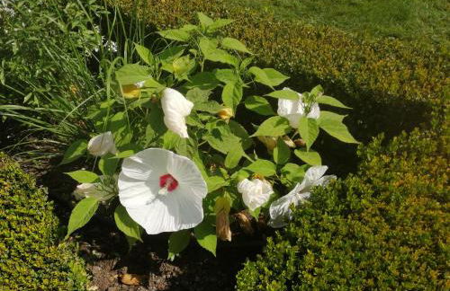 Le Pech de Sireuil - Foto 20