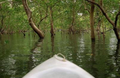 Casa Ventus - Arpoeiras Beach - Pé na Areia - Foto 20