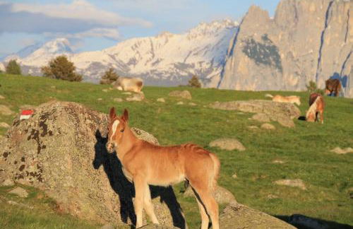 Unterpfaffstall-Hof - Foto 75