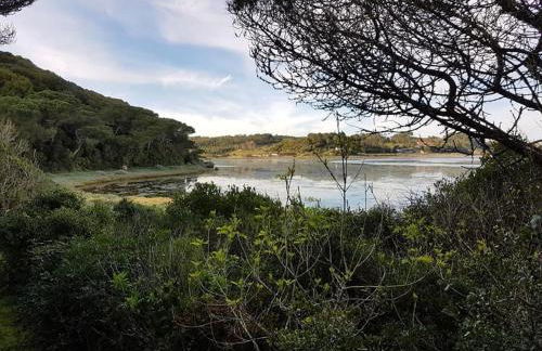 Casa do Canto - Uma casa no campo, perto da praia. - Foto 28