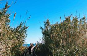 Luxury Holiday Townhouse with Pool II Casa Macarena 02 - Photo 36