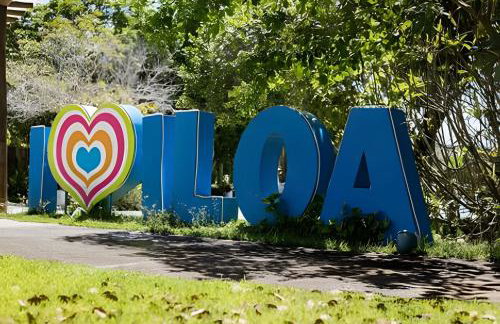 Iloa Residence 103A - Foto 9