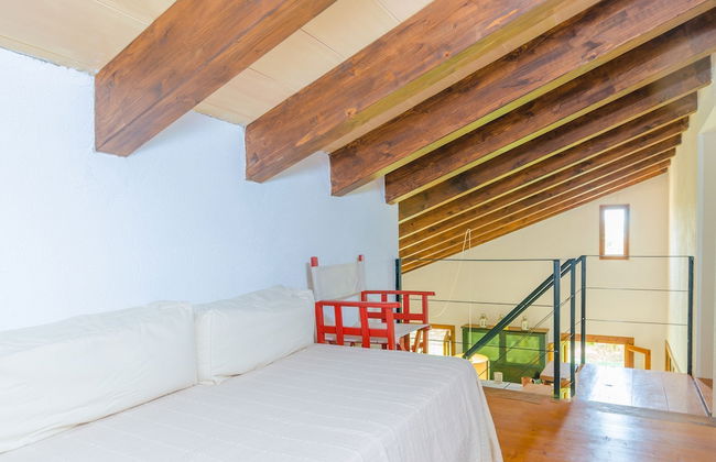 Son Sabater Es Moli Nou - Photo 30