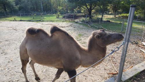 Ferienhaus am Flaumbach - Foto 2, Other