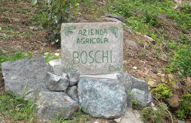 Podere Campofossato - Photo 33