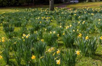 The Clock Tower - Foto 14