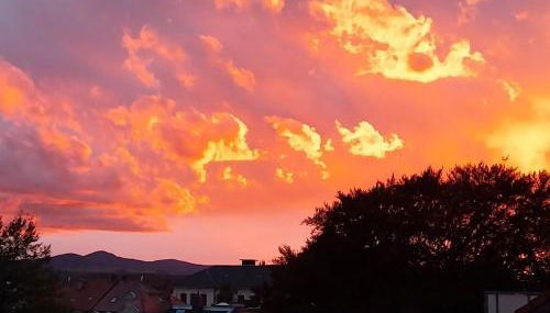 Ferienwohnung Anno1898 Zittau - Foto 2