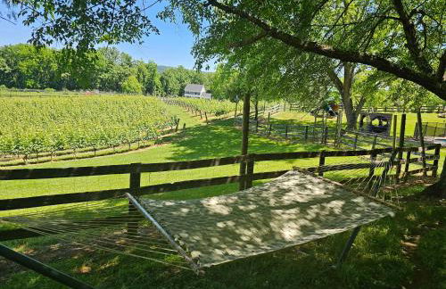 Vinewood Estate & Adventures - Foto 8