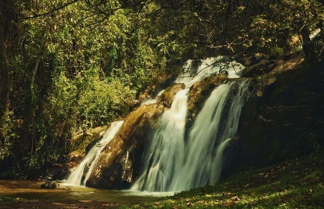 Refúgio dos pinhais - Foto 31