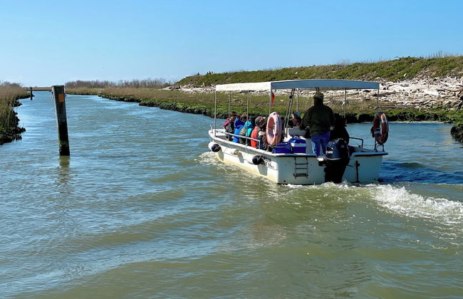 Agriturismo Tenuta Castel Venezze - Foto 49
