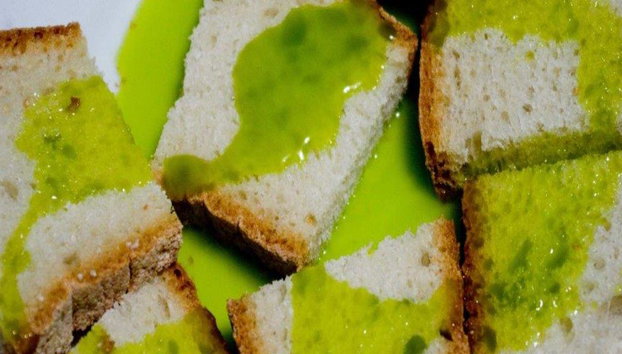 Olive Harvest Experience - Half-Day Small Group Tour - Photo 3