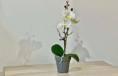 Alba & Tramonto - Foto 26