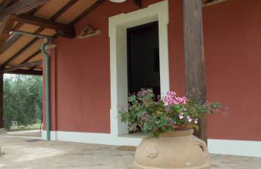 Agriturismo Cento Ducati - Foto 7