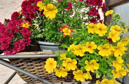 Ferienhaus Resch - Foto 13