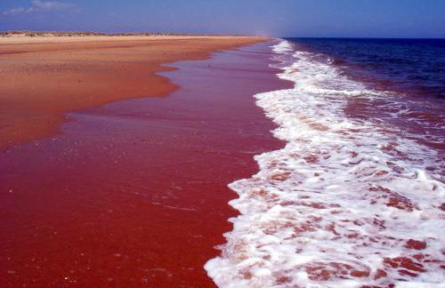 Charming apartment in El Rompido with sea view - Foto 25