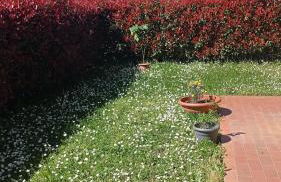 Giardino del sole, con Wi-Fi, smart TV, aria condizionata - Foto 19